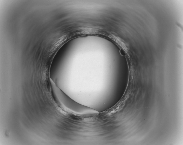 X0000093360105200710251140