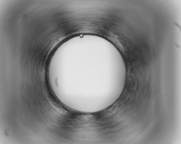 X0000093360108200710251140