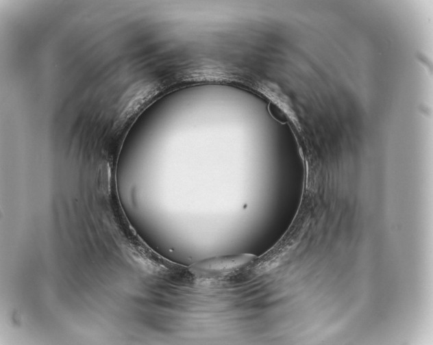 X0000093360109200710251140