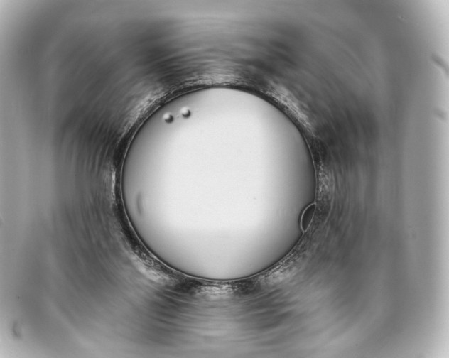 X0000093360110200710251140