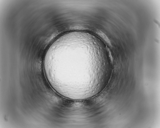 X0000093360111200710251140
