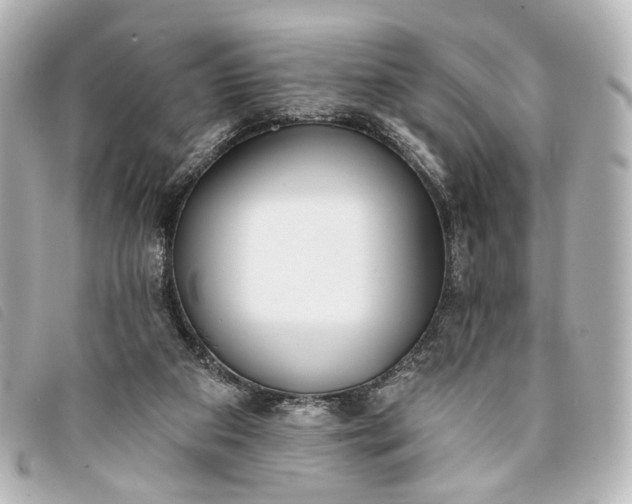 X0000093360113200710251140