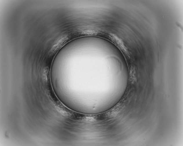 X0000093360114200710251140