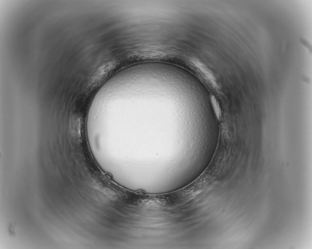 X0000093360115200710251140