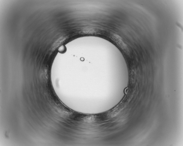 X0000093360116200710251140