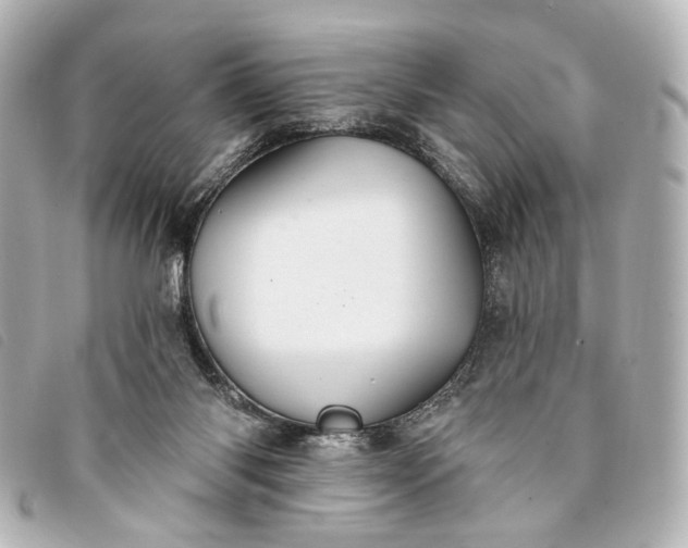 X0000093360118200710251140