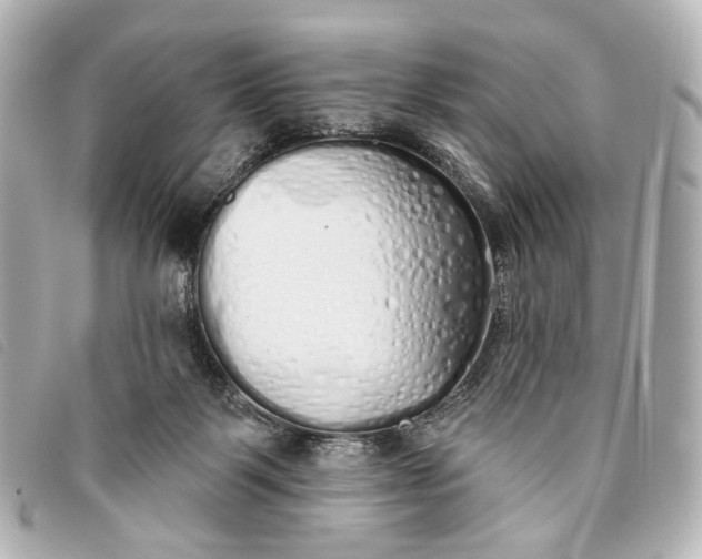 X0000093360123200710251140