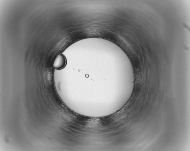 X0000093360124200710251140
