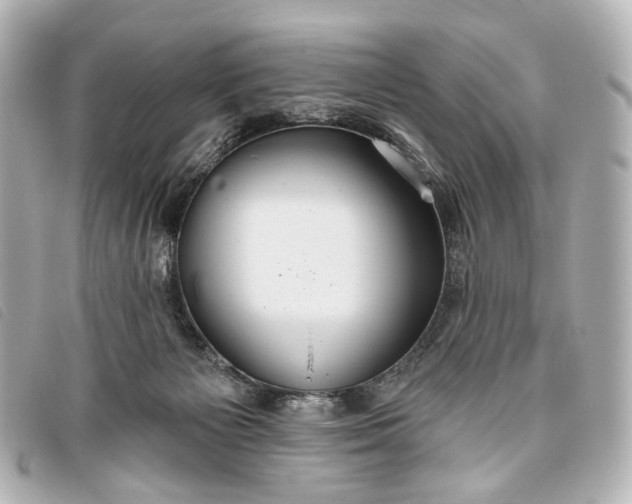 X0000093360125200710251140