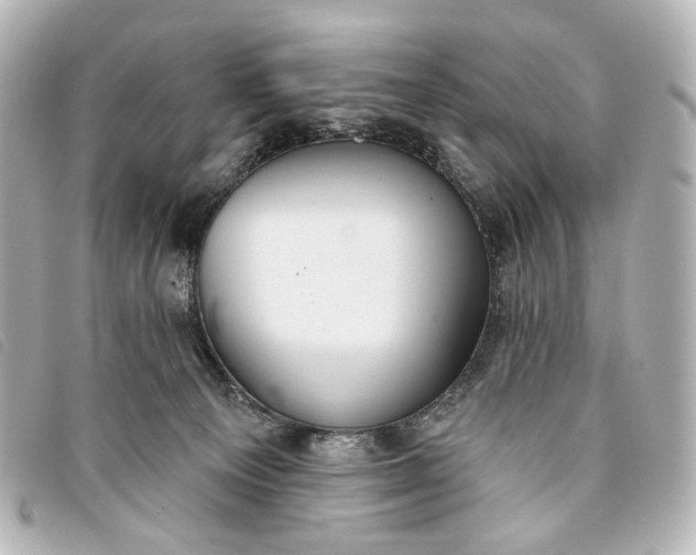 X0000093360129200710251140