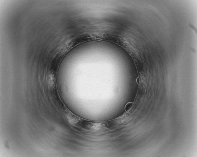 X0000093360130200710251140