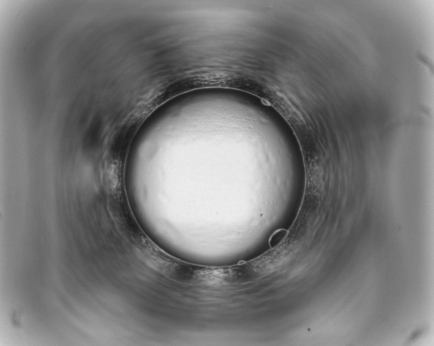 X0000093360131200710251140