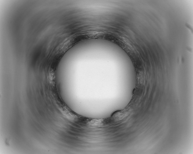X0000093360138200710251140