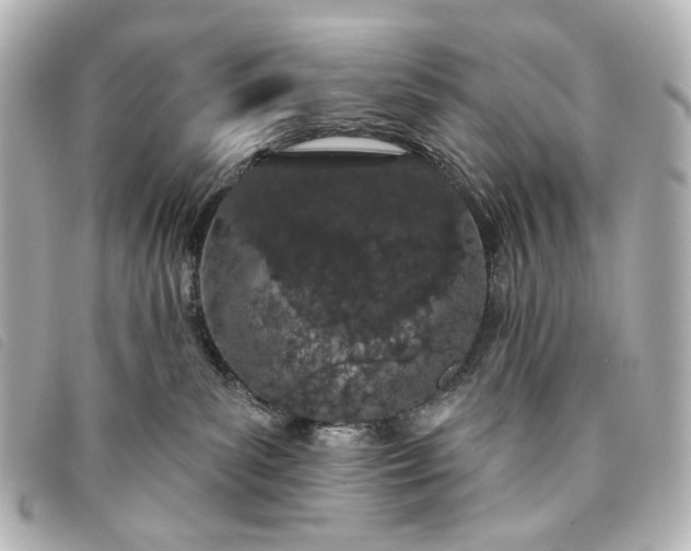 X0000093360139200710251140