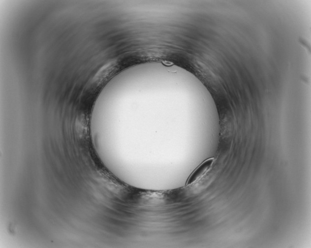 X0000093360140200710251140