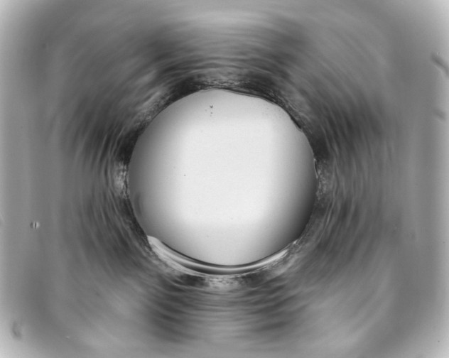 X0000093360141200710251140