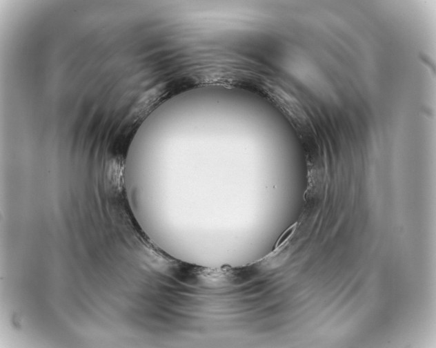 X0000093360142200710251140