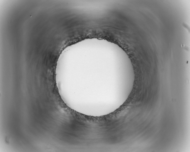 X0000093360144200710251140