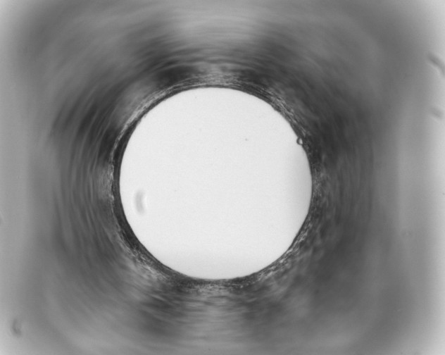 X0000093360146200710251139