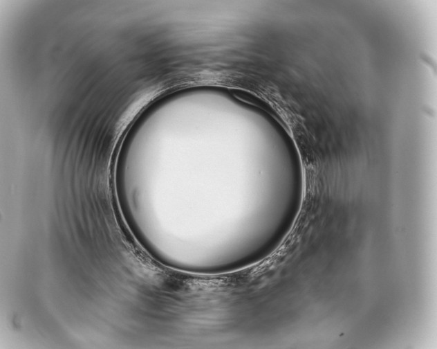 X0000093360147200710251139