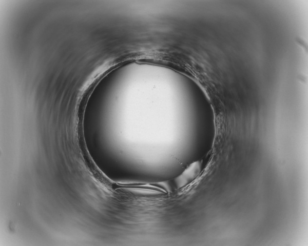 X0000093360150200710251139