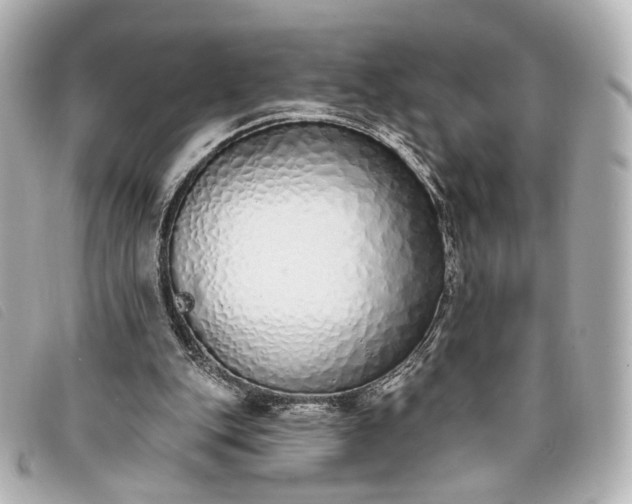 X0000093360151200710251139