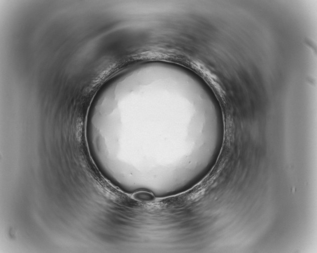 X0000093360153200710251139