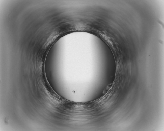 X0000093360154200710251139