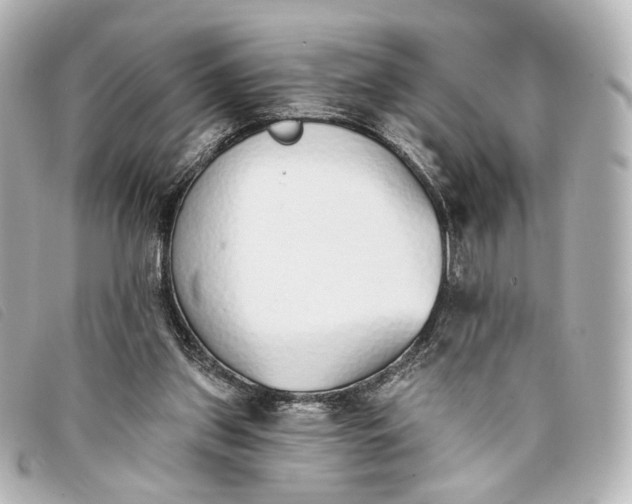 X0000093360157200710251139