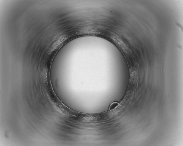 X0000093360158200710251139