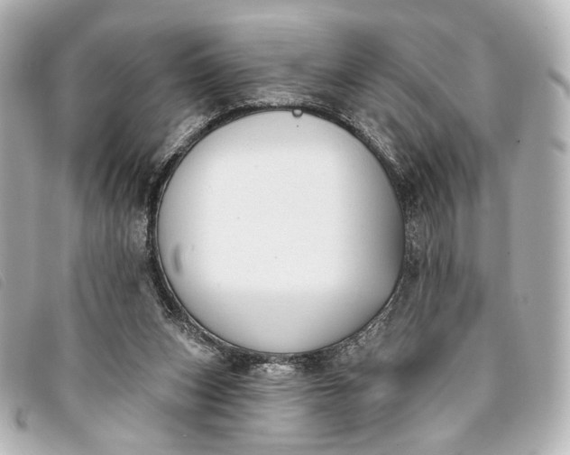 X0000093360159200710251139