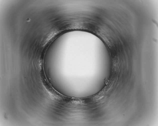 X0000093360160200710251139