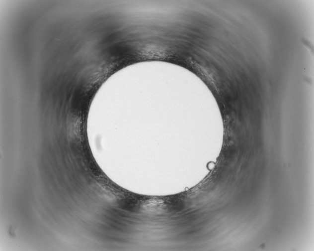X0000093360162200710251139