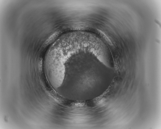 X0000093360163200710251139