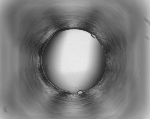 X0000093360164200710251139