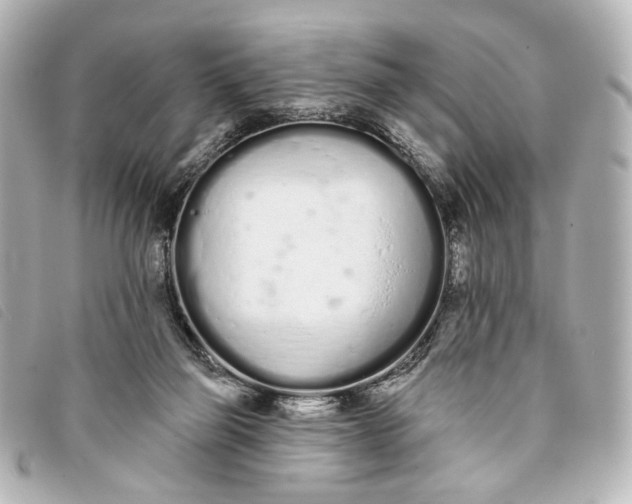 X0000093360165200710251139