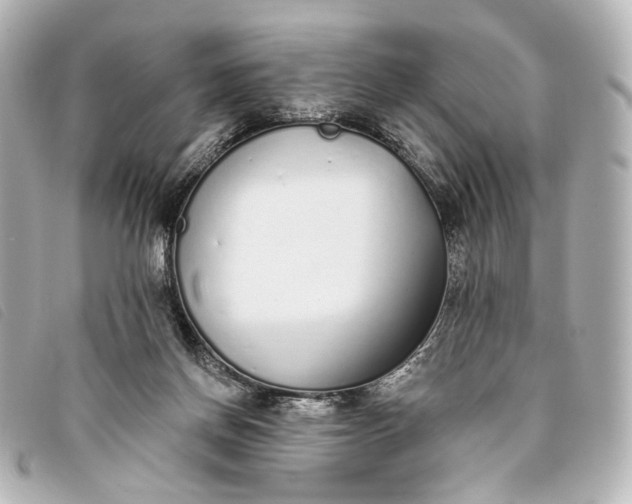 X0000093360166200710251139