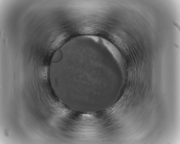 X0000093360167200710251139