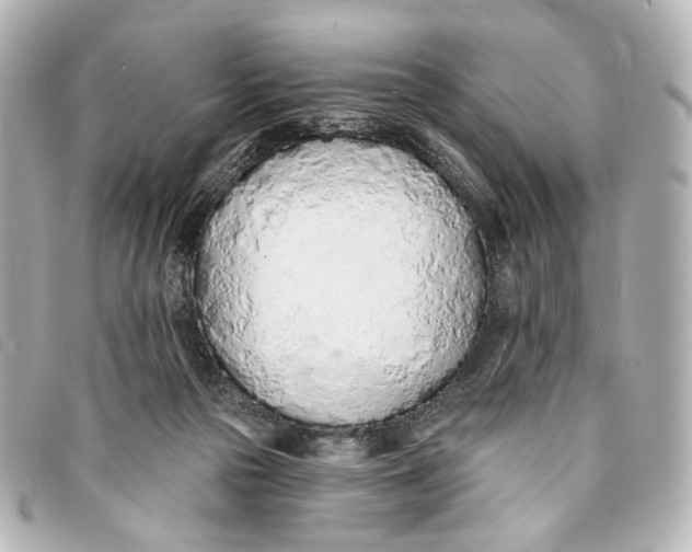 X0000093360169200710251139