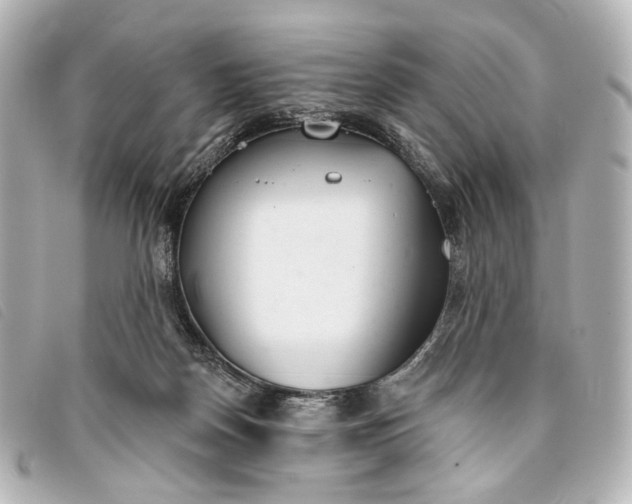 X0000093360170200710251139