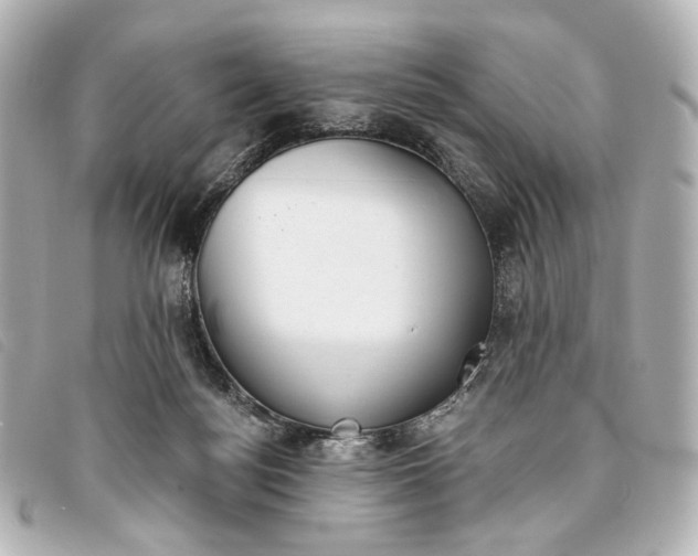 X0000093360172200710251139