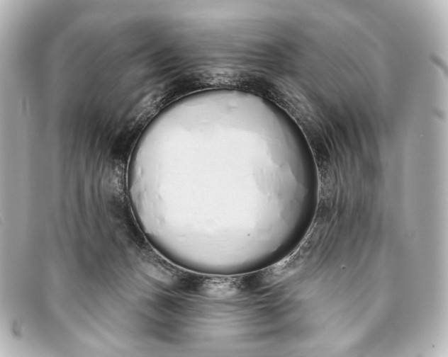 X0000093360175200710251139