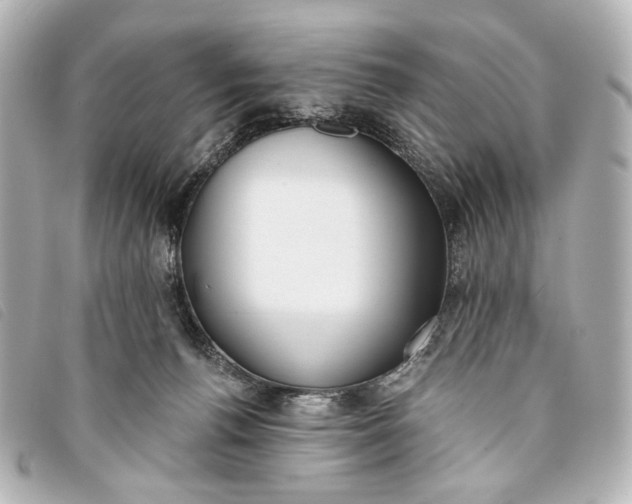 X0000093360176200710251139