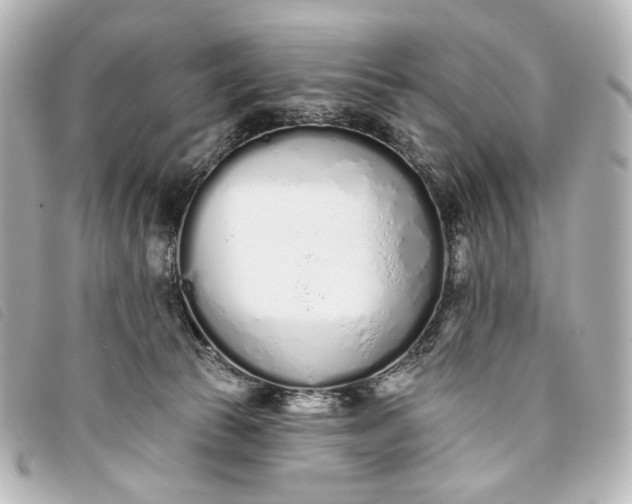 X0000093360177200710251139