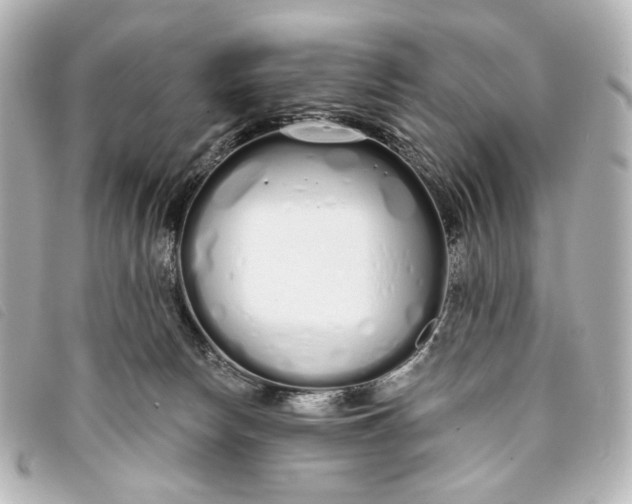 X0000093360178200710251139