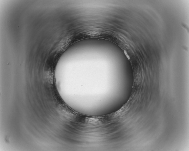 X0000093360180200710251139