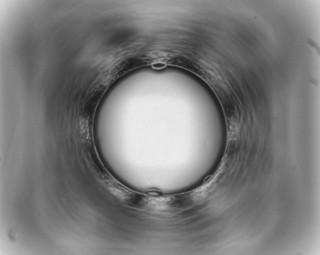 X0000093360182200710251139