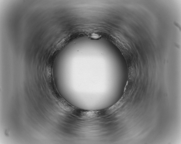 X0000093360184200710251139