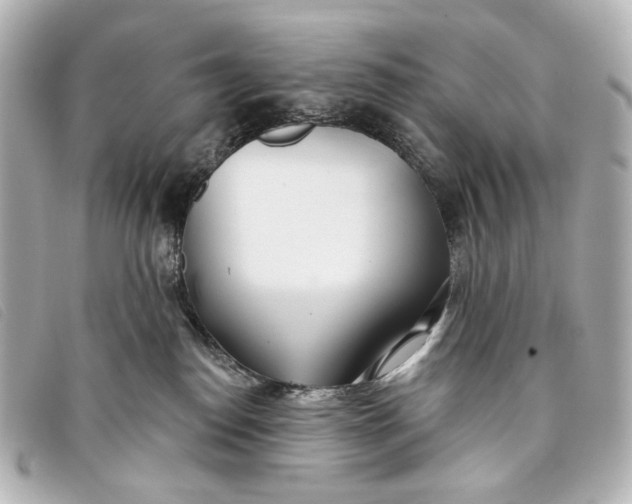X0000093360186200710251139