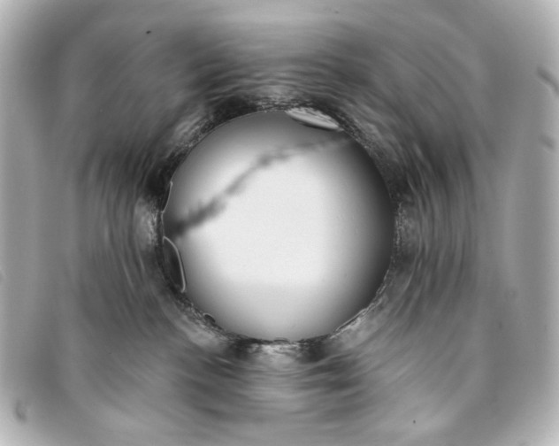 X0000093360188200710251139